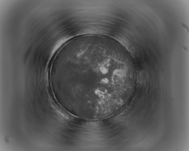 X0000091491078200708231417