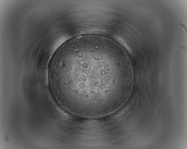 X0000091491079200708231417