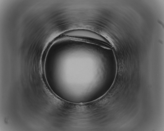 X0000091491080200708231417