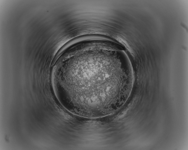X0000091491081200708231417