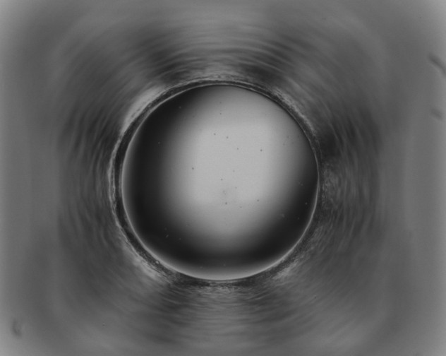 X0000091491082200708231417