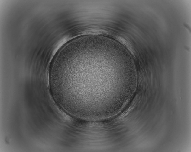 X0000091491083200708231417