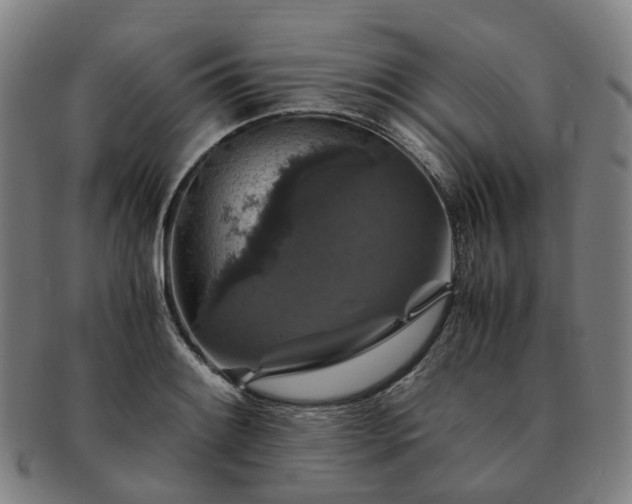 X0000091491084200708231417