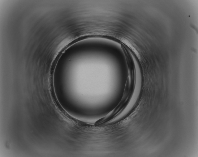 X0000091491085200708231417