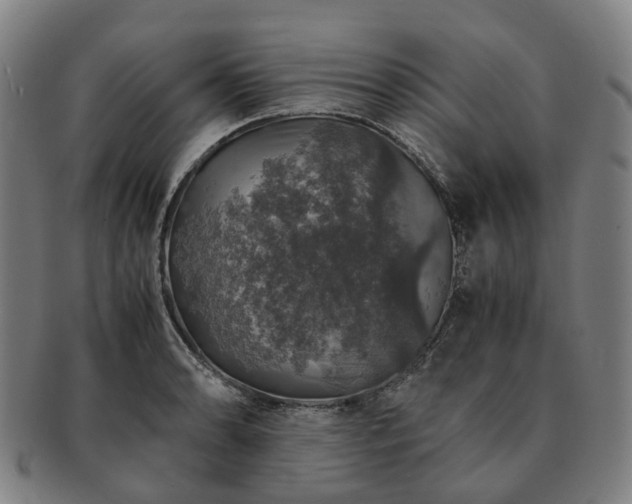 X0000091491086200708231417