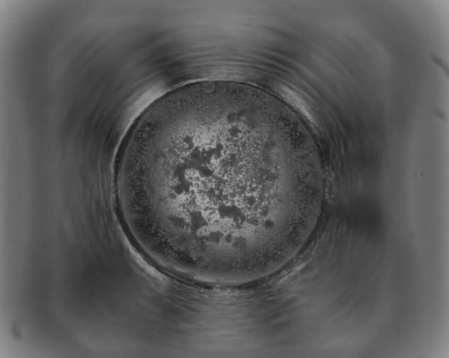 X0000091491087200708231417