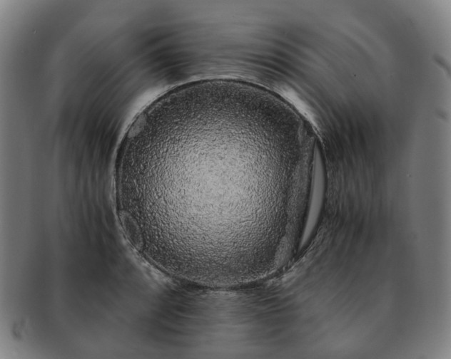 X0000091491088200708231417