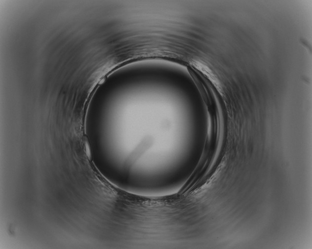 X0000091491089200708231417