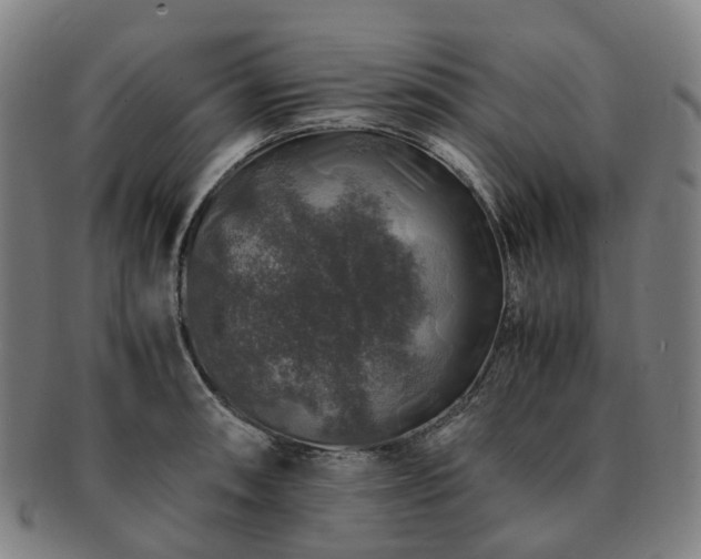 X0000091491090200708231417