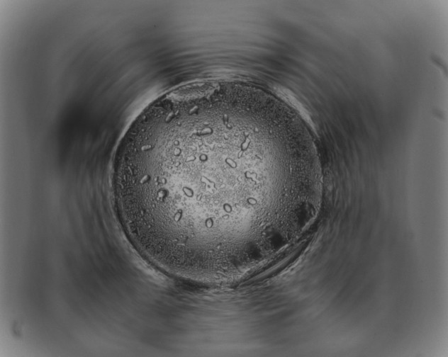 X0000091491091200708231417