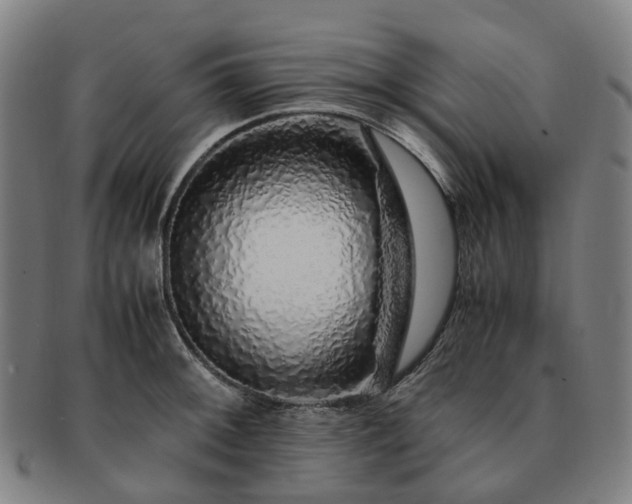 X0000091491092200708231417