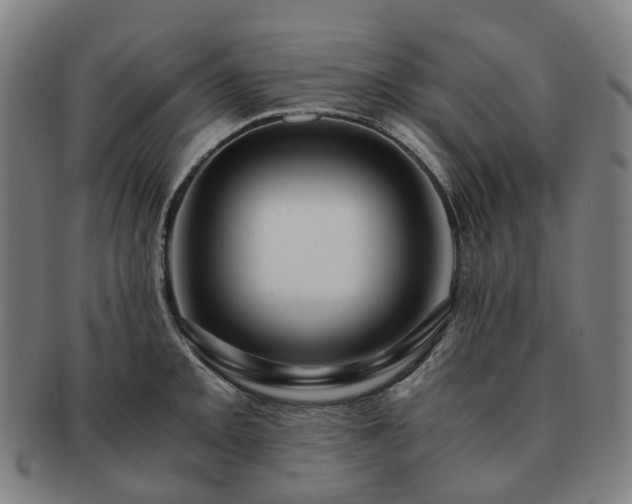 X0000091491093200708231417