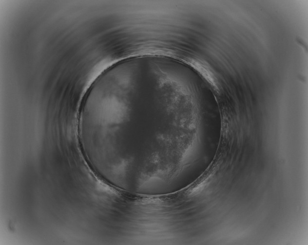 X0000091491094200708231417