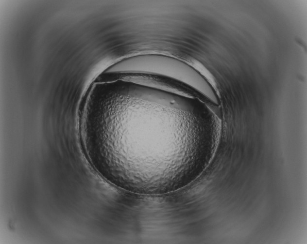 X0000091491096200708231417