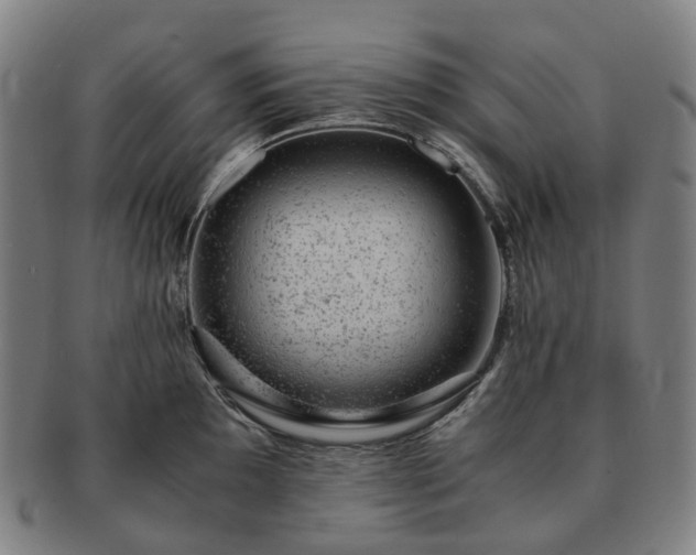 X0000091491097200708231417