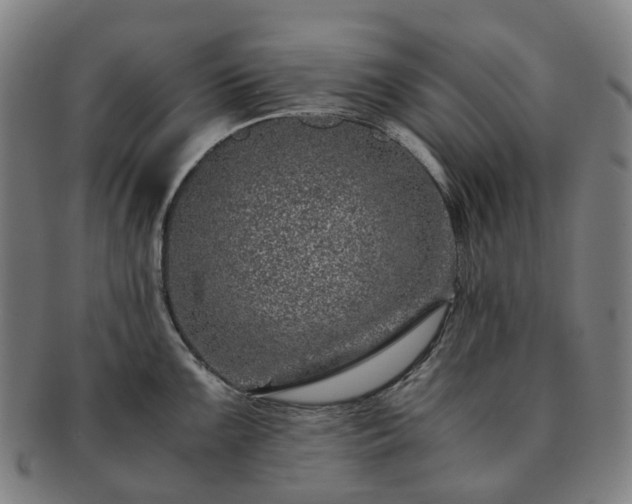 X0000091491099200708231417