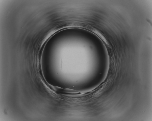 X0000091491101200708231417