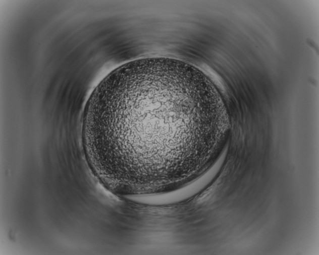 X0000091491102200708231417