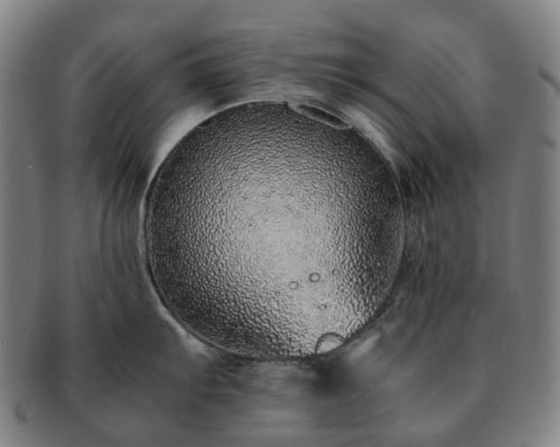 X0000091491103200708231417