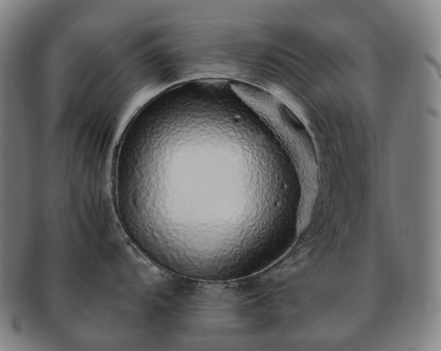 X0000091491104200708231417