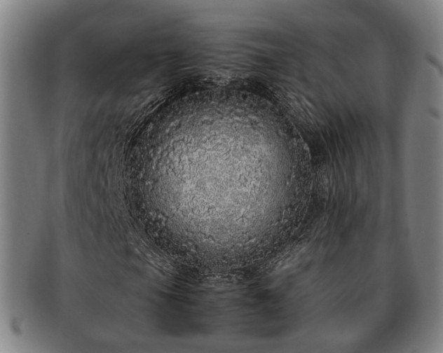 X0000091491105200708231416