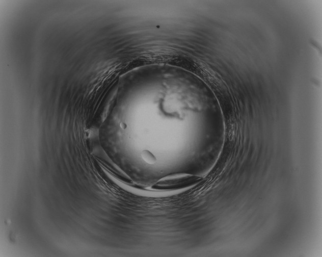 X0000091491108200708231416