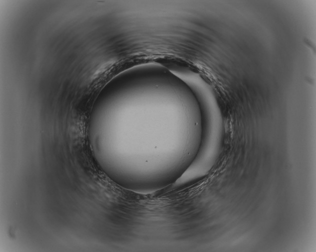 X0000091491110200708231416