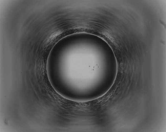 X0000091491111200708231416