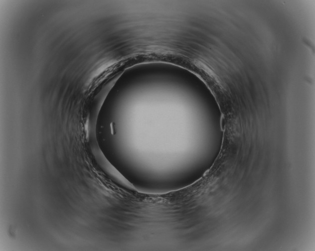 X0000091491112200708231416