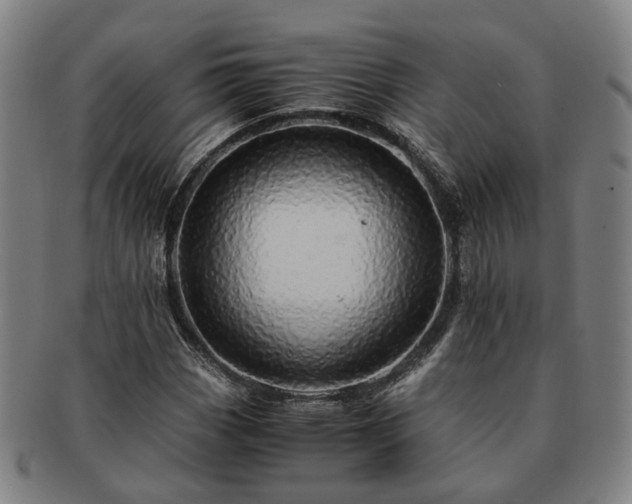 X0000091491113200708231416
