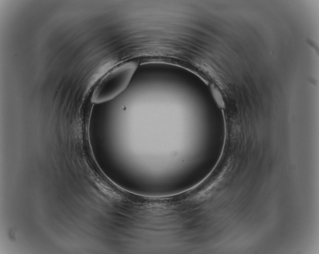 X0000091491114200708231416