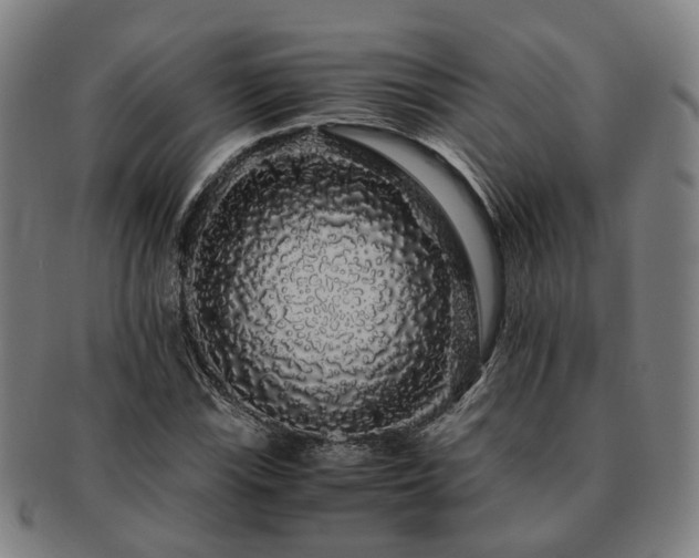 X0000091491115200708231416