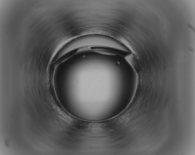 X0000091491116200708231416