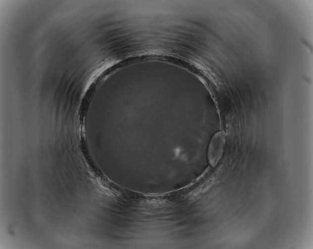 X0000091491117200708231416