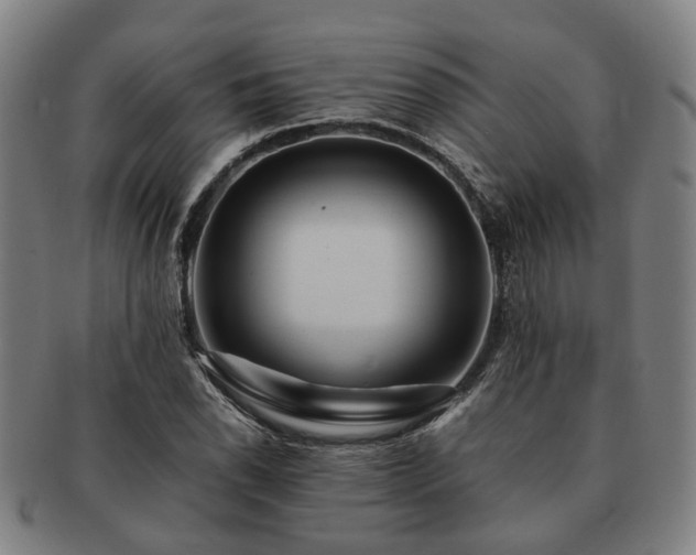 X0000091491118200708231416