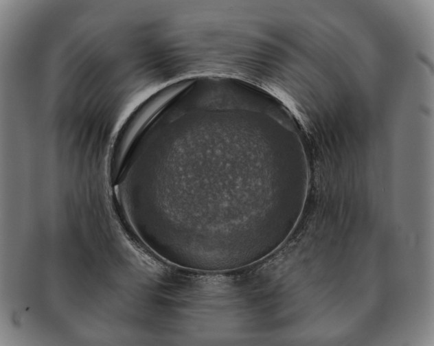 X0000091491120200708231416
