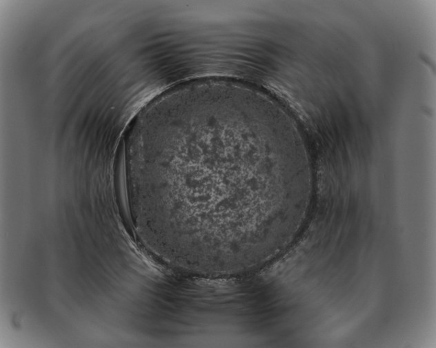 X0000091491121200708231416