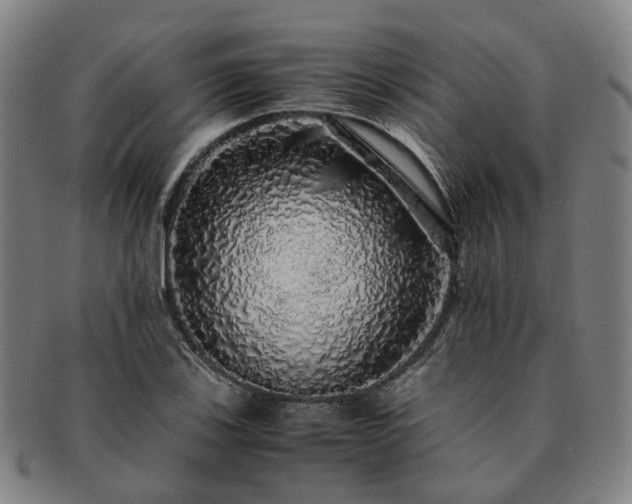 X0000091491123200708231416