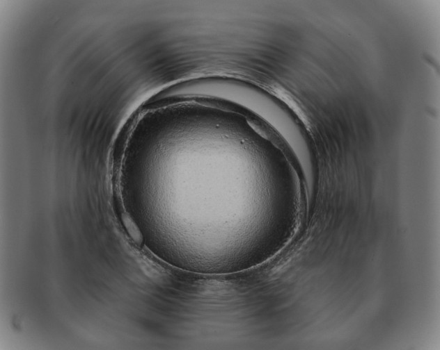X0000091491124200708231416