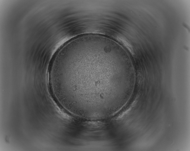 X0000091491125200708231416