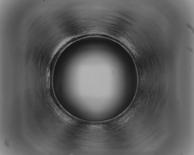 X0000091491126200708231416