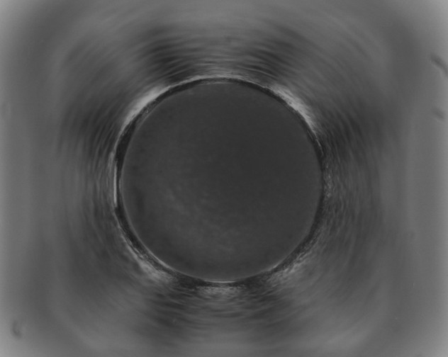 X0000091491127200708231416