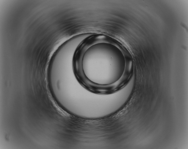 X0000091491128200708231416