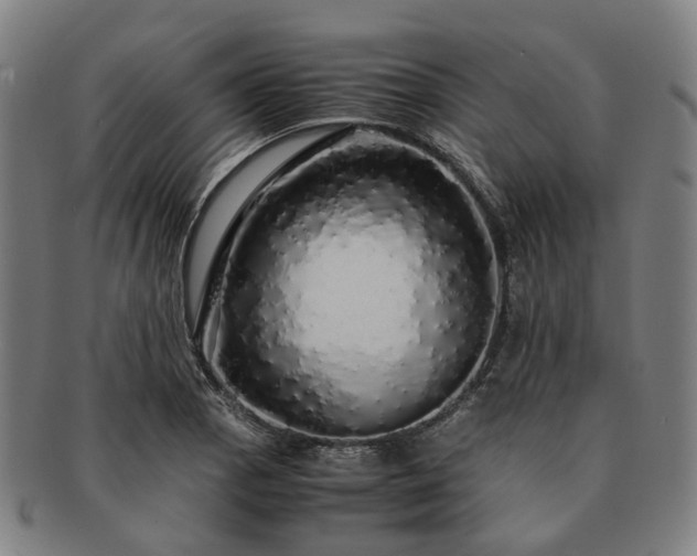 X0000091491129200708231416