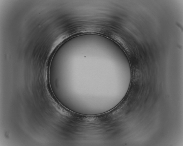 X0000091491130200708231416