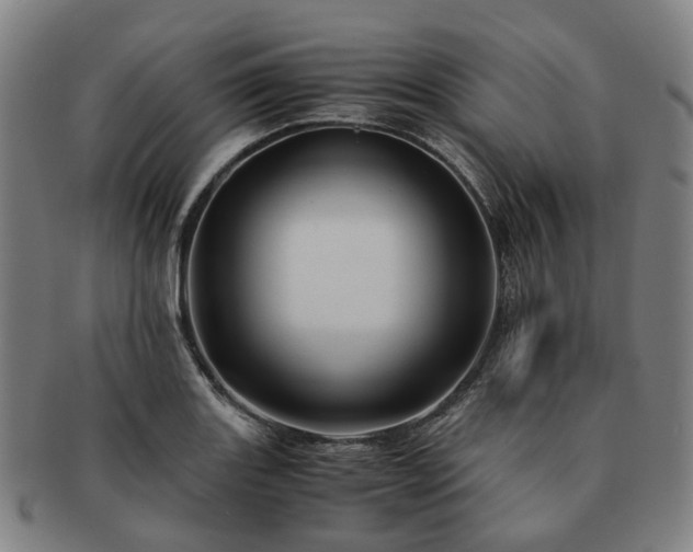 X0000091491131200708231416