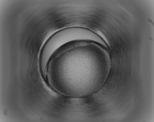 X0000091491132200708231416