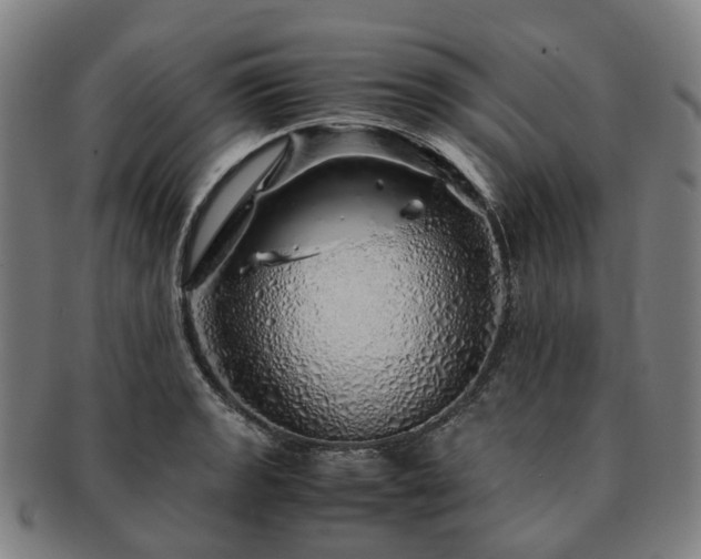X0000091491133200708231416