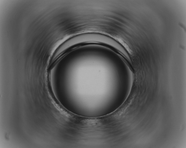 X0000091491134200708231416