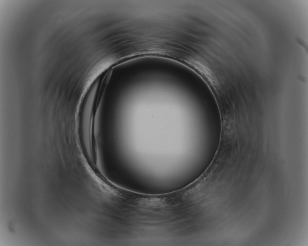 X0000091491135200708231416